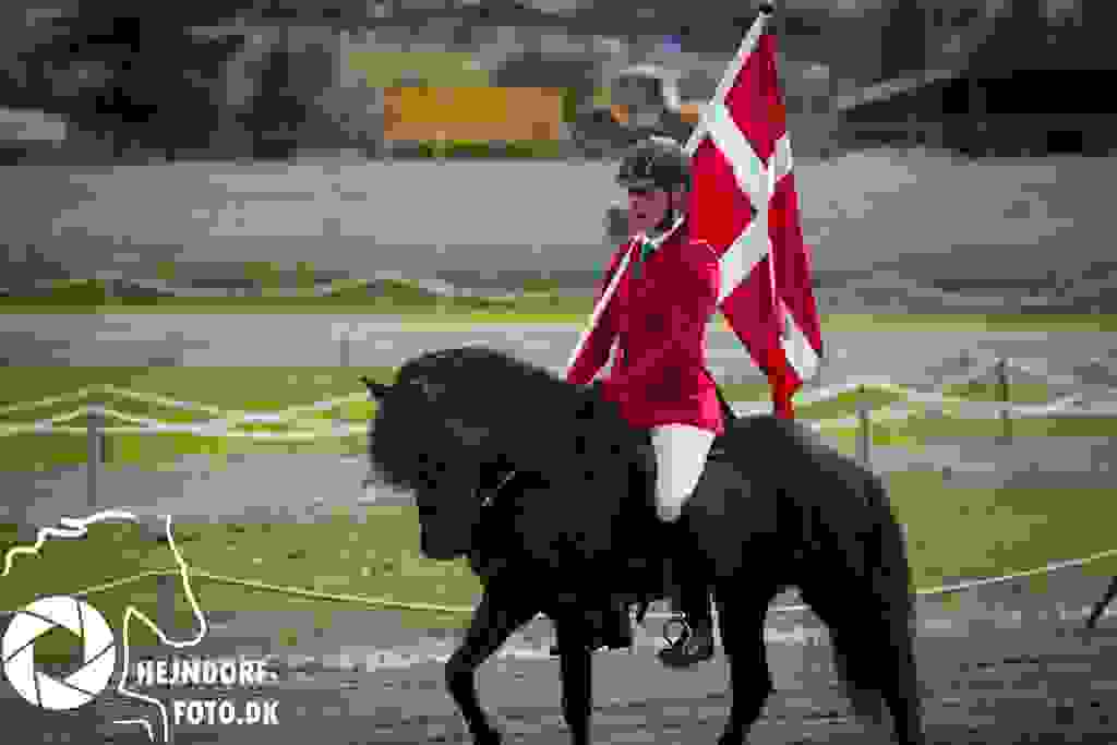 AHEJ6050.jpg