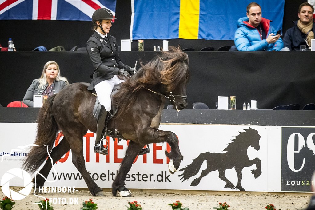 AHEJ8487.jpg